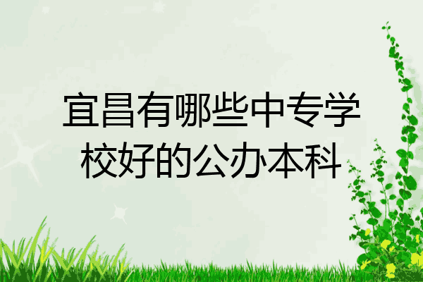 宜昌有哪些中专学校好的公办本科