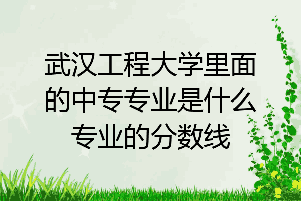 武汉工程大学里面的中专专业是什么专业的分数线