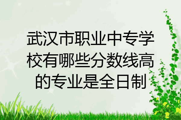 武汉市职业中专学校有哪些分数线高的专业是全日制