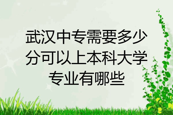 武汉中专需要多少分可以上本科大学专业有哪些