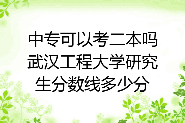 中专可以考二本吗武汉工程大学研究生分数线多少分