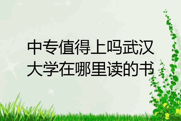 中专值得上吗武汉大学在哪里读的书