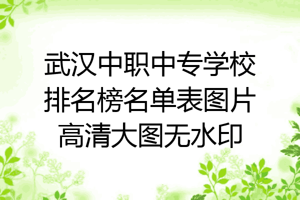 武汉中职中专学校排名榜名单表图片高清大图无水印