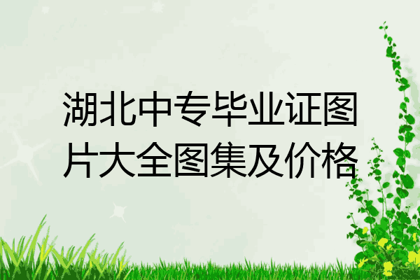 湖北中专毕业证图片大全图集及价格