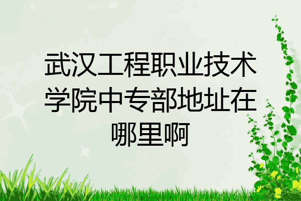 武汉工程职业技术学院中专部地址在哪里啊
