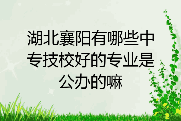 湖北襄阳有哪些中专技校好的专业是公办的嘛