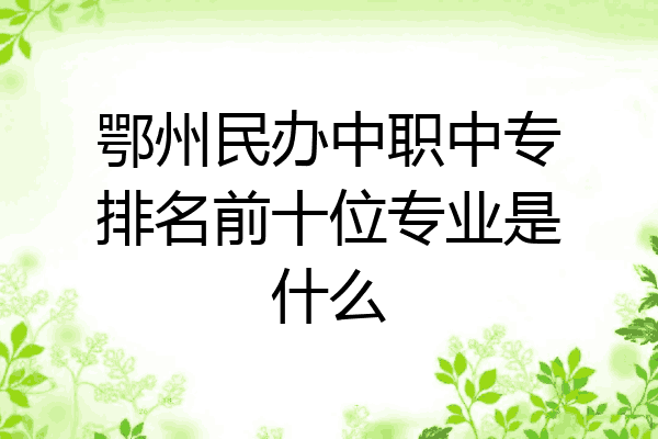 鄂州民办中职中专排名前十位专业是什么