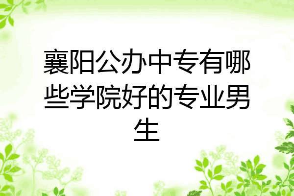 襄阳公办中专有哪些学院好的专业男生