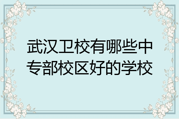 武汉卫校有哪些中专部校区好的学校