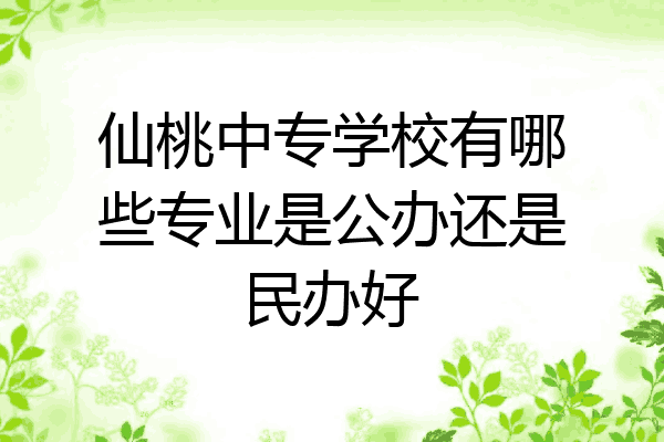 仙桃中专学校有哪些专业是公办还是民办好