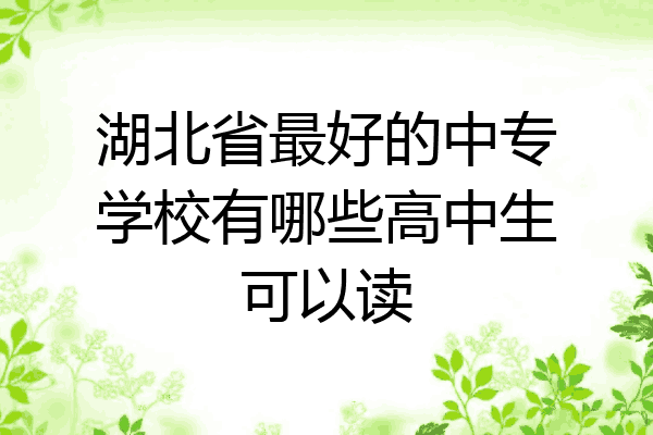 湖北省最好的中专学校有哪些高中生可以读