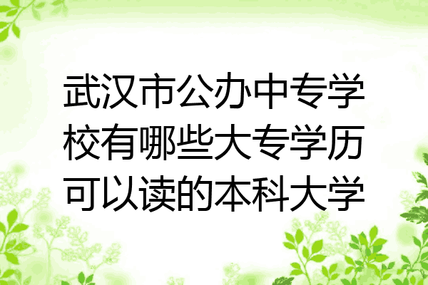武汉市公办中专学校有哪些大专学历可以读的本科大学