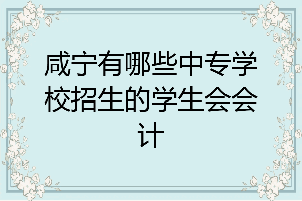 咸宁有哪些中专学校招生的学生会会计