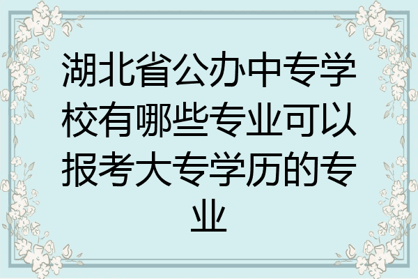 湖北省公办中专学校有哪些专业可以报考大专学历的专业