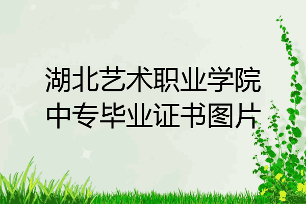 湖北艺术职业学院中专毕业证书图片