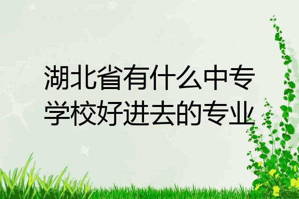 湖北省有什么中专学校好进去的专业