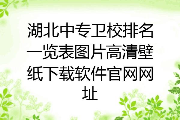 湖北中专卫校排名一览表图片高清壁纸下载软件官网网址