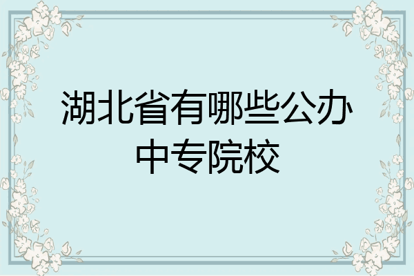 湖北省有哪些公办中专院校