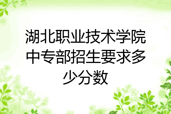 湖北职业技术学院中专部招生要求多少分数