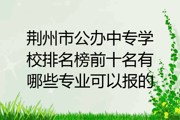 荆州市公办中专学校排名榜前十名有哪些专业可以报的
