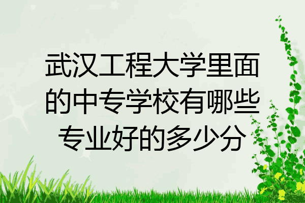 武汉工程大学里面的中专学校有哪些专业好的多少分