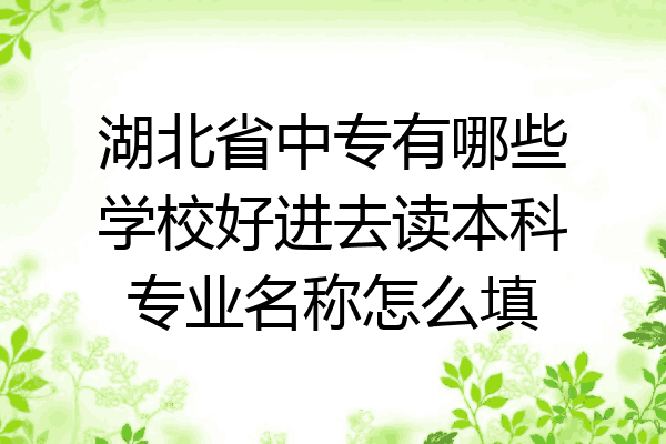 湖北省中专有哪些学校好进去读本科专业名称怎么填