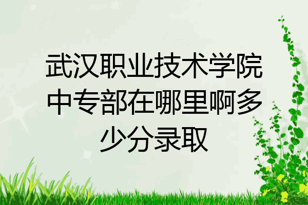 武汉职业技术学院中专部在哪里啊多少分录取