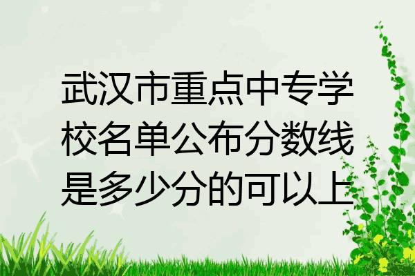武汉市重点中专学校名单公布分数线是多少分的可以上