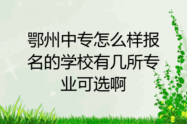 鄂州中专怎么样报名的学校有几所专业可选啊