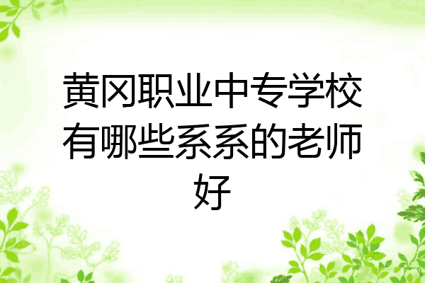 黄冈职业中专学校有哪些系系的老师好