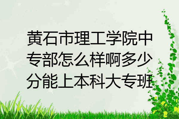 黄石市理工学院中专部怎么样啊多少分能上本科大专班