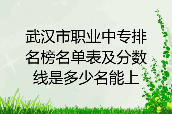 武汉市职业中专排名榜名单表及分数线是多少名能上