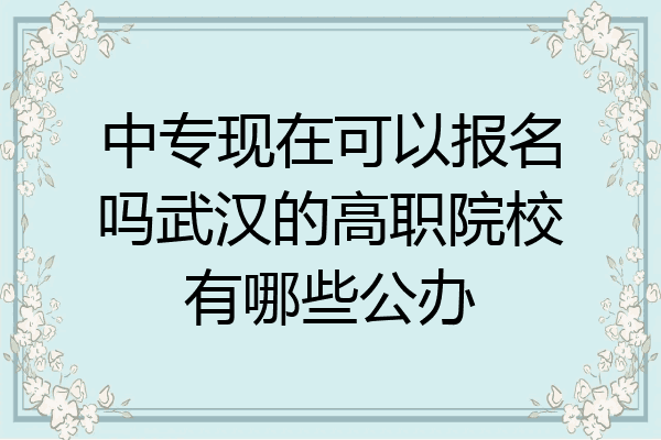 中专现在可以报名吗武汉的高职院校有哪些公办