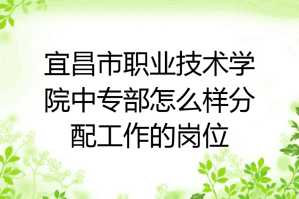 宜昌市职业技术学院中专部怎么样分配工作的岗位