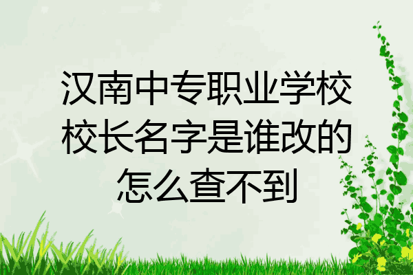 汉南中专职业学校校长名字是谁改的怎么查不到