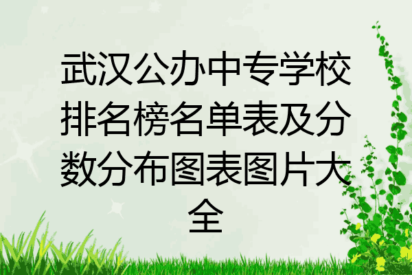 武汉公办中专学校排名榜名单表及分数分布图表图片大全
