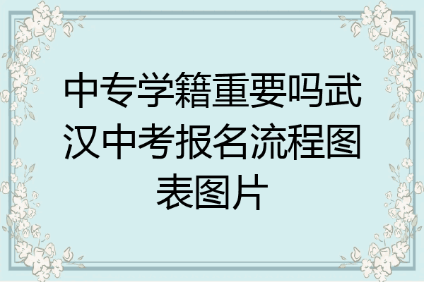 中专学籍重要吗武汉中考报名流程图表图片
