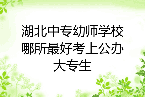 湖北中专幼师学校哪所最好考上公办大专生