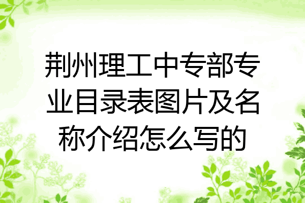 荆州理工中专部专业目录表图片及名称介绍怎么写的