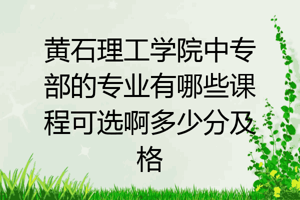 黄石理工学院中专部的专业有哪些课程可选啊多少分及格