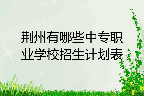 荆州有哪些中专职业学校招生计划表