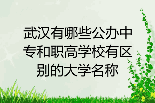 武汉有哪些公办中专和职高学校有区别的大学名称