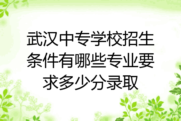 武汉中专学校招生条件有哪些专业要求多少分录取