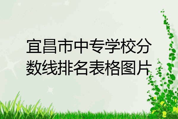 宜昌市中专学校分数线排名表格图片
