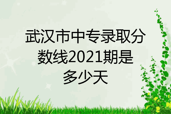 武汉市中专录取分数线2021期是多少天