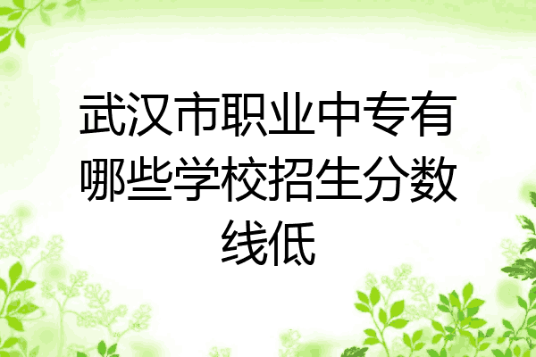 武汉市职业中专有哪些学校招生分数线低