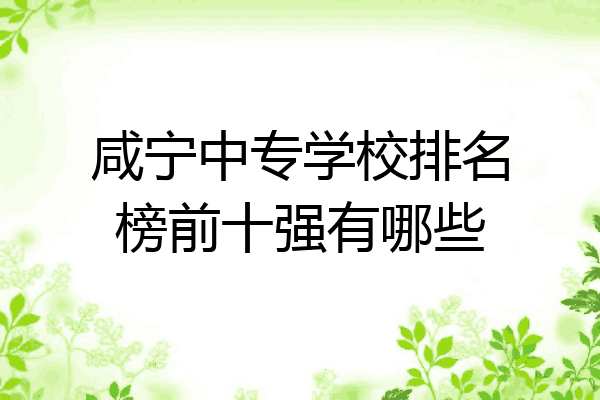 咸宁中专学校排名榜前十强有哪些