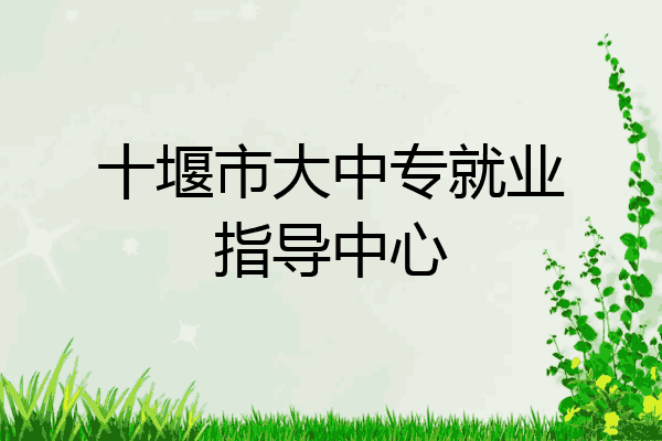 十堰市大中专就业指导中心