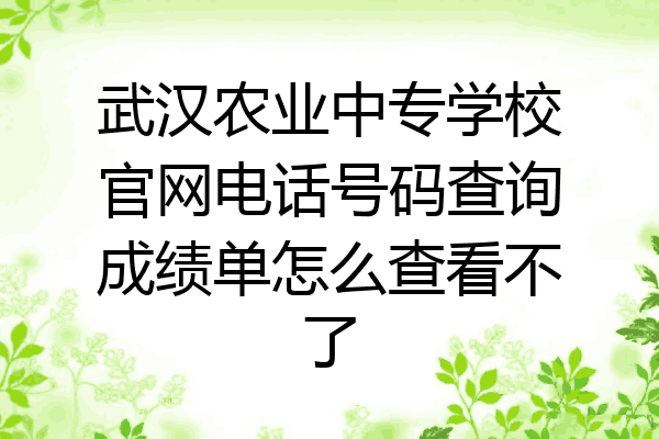 武汉农业中专学校官网电话号码查询成绩单怎么查看不了