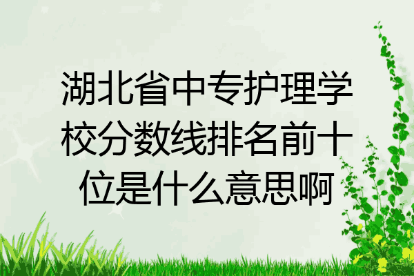 湖北省中专护理学校分数线排名前十位是什么意思啊